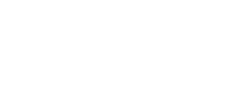 WSAV-logo png