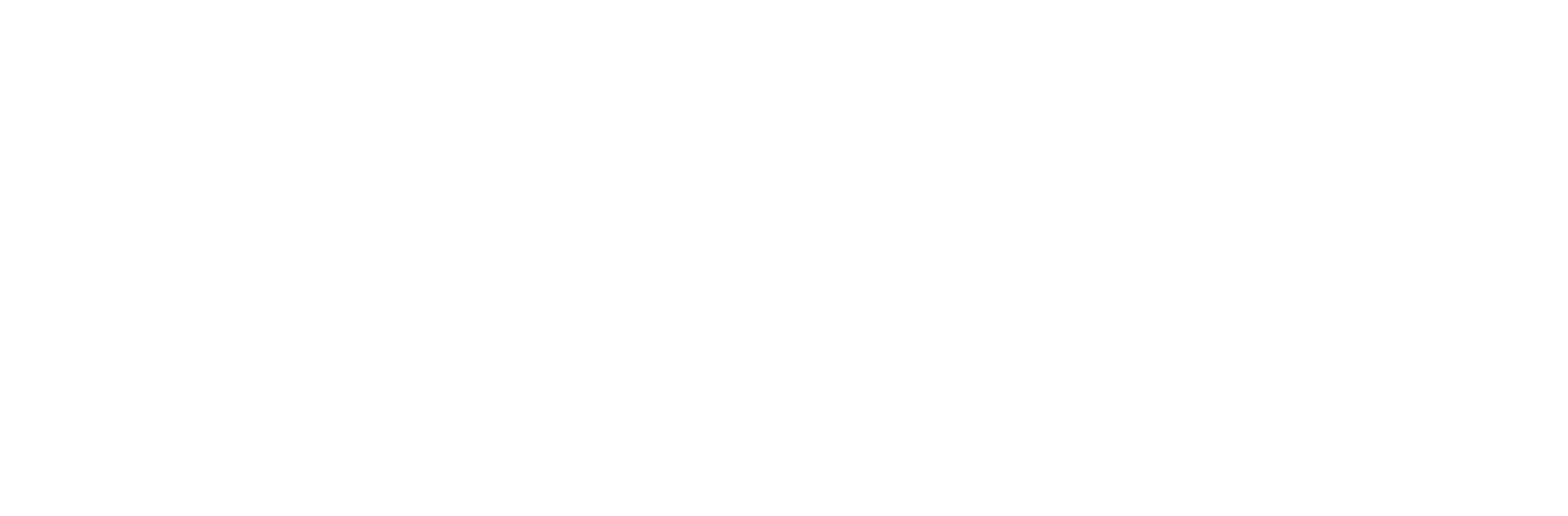 WTOC-TV_11_logo png
